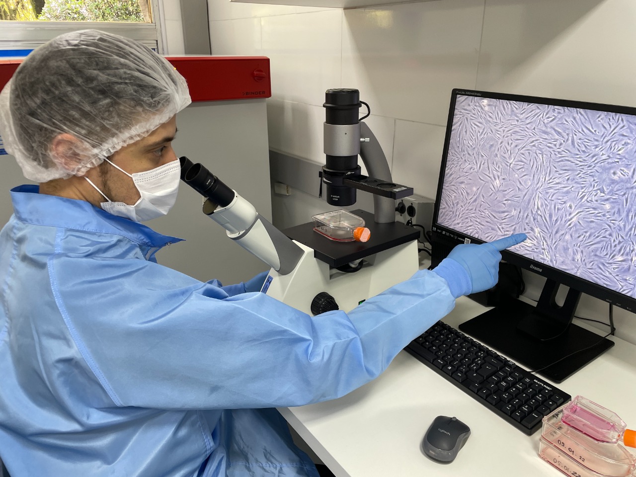 A carne de pescado cultivada em laboratório pode ser o caminho para a sustentabilidade