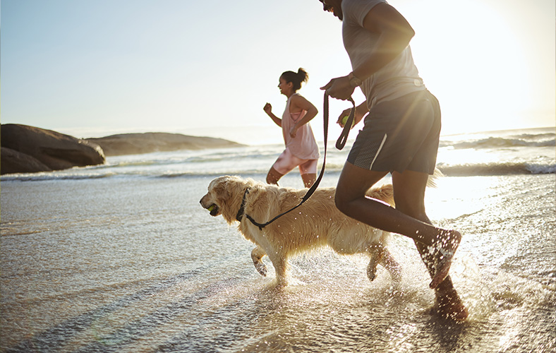 Blog_ mit Hund am Strand 788x500.jpg