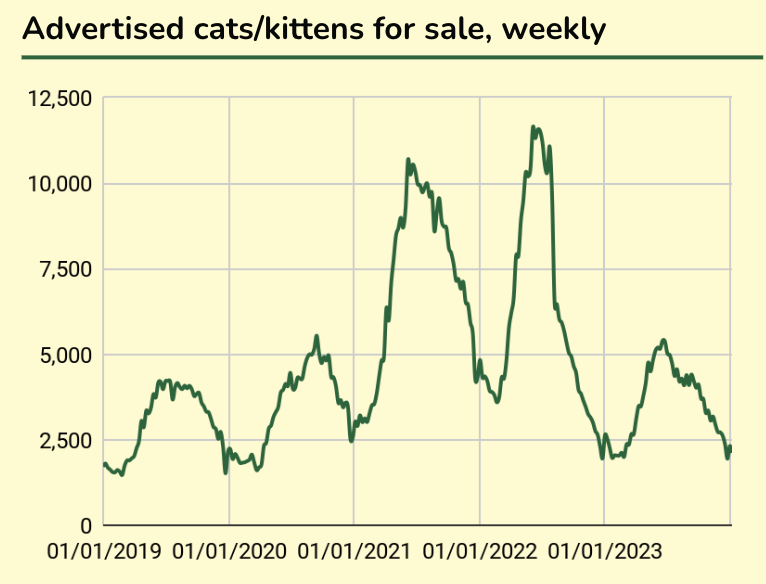 Advertised cats:kittens for sale, weekly