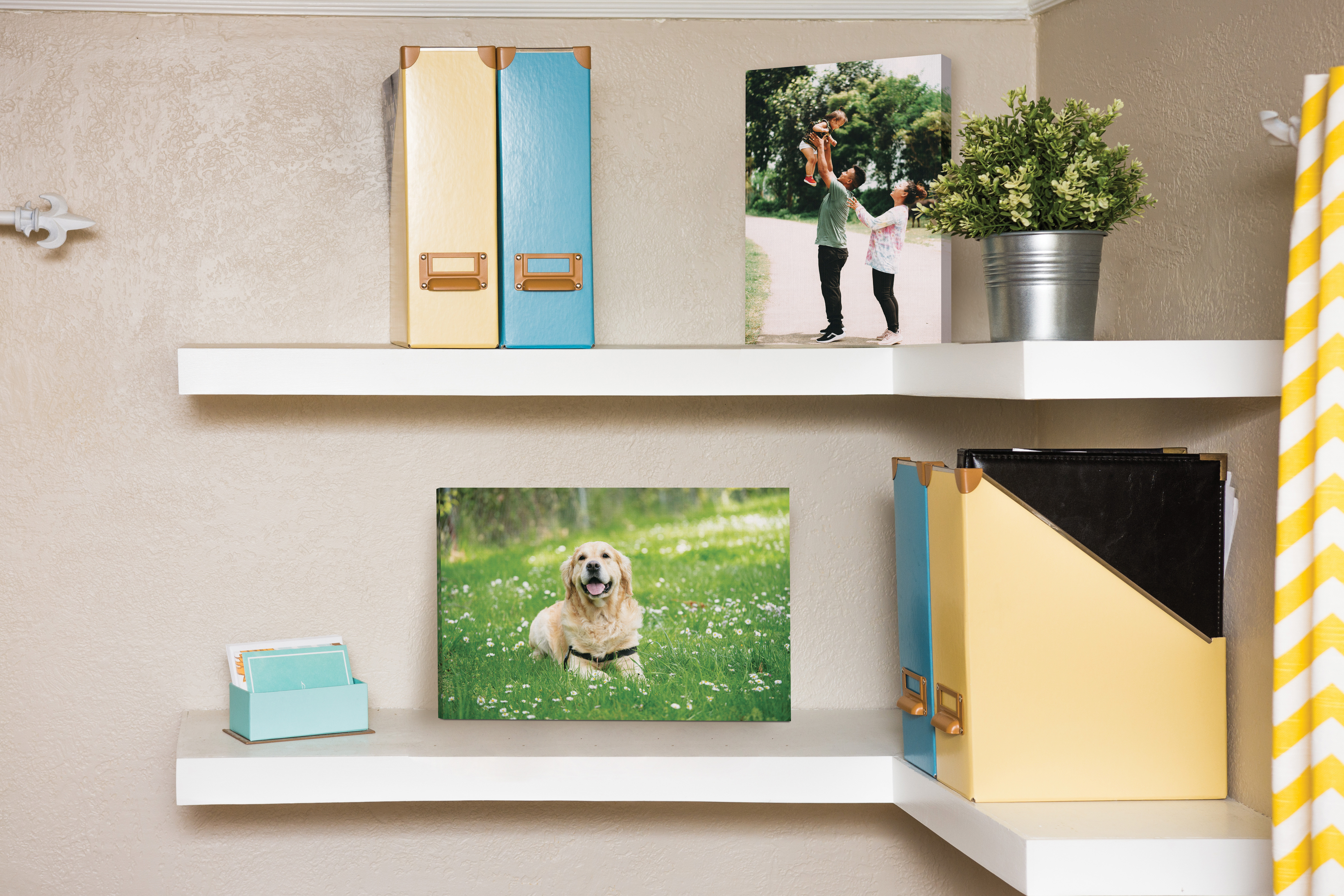 Two canvas prints of family and dog on shelf in office space