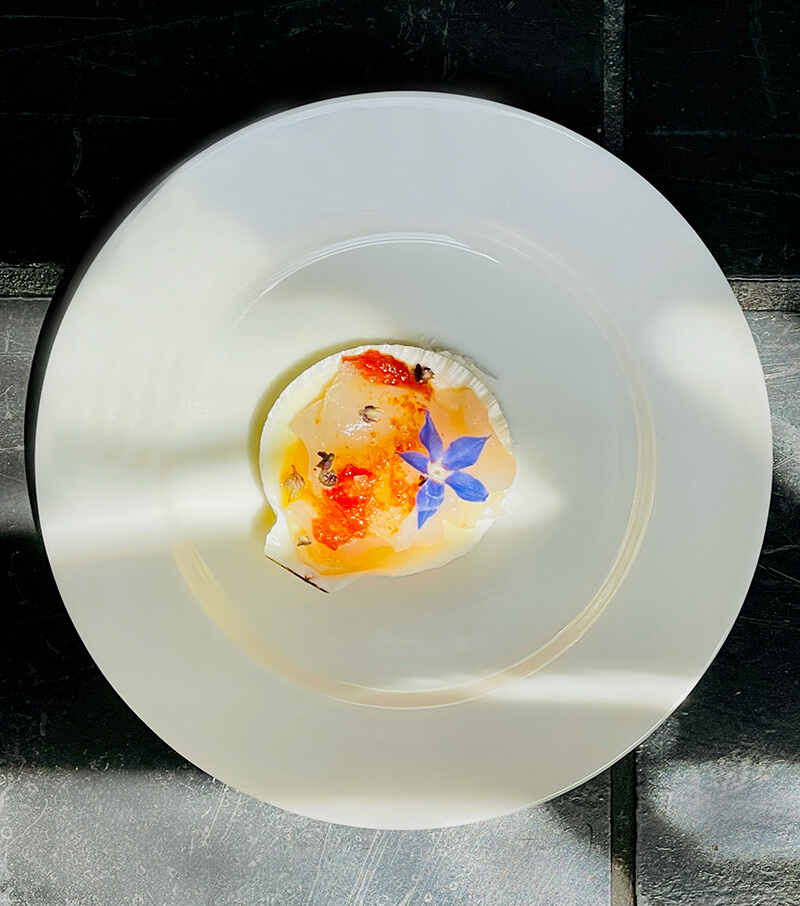 Immersive Dinner Scallop