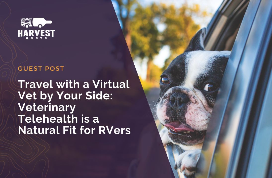 Travel with a Virtual Vet by Your Side: Veterinary Telehealth is a Natural Fit for RVers