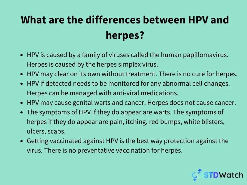 differences-between-hpv-and-herpes