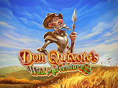 Don Quixote's Wild Adventures