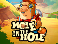 Mole in the Hole