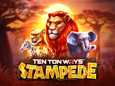 Ten Ton Ways Stampede
