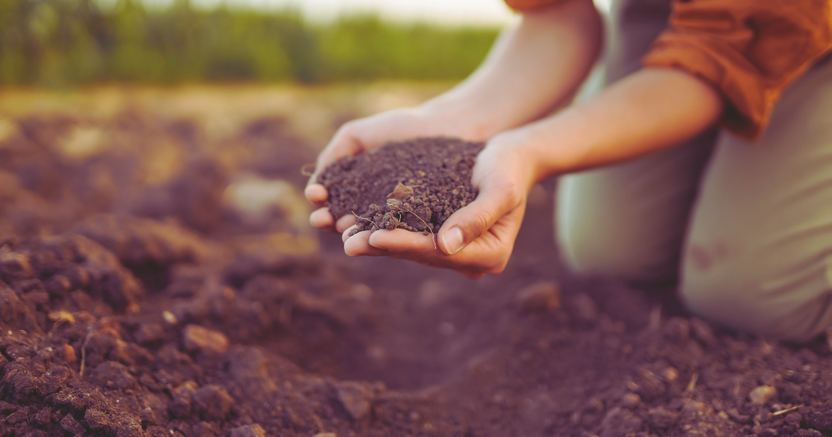Preparing Soil.png