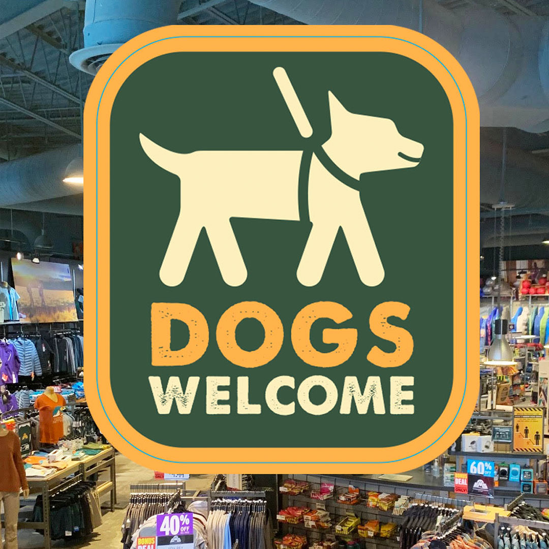 Stores store allow dogs