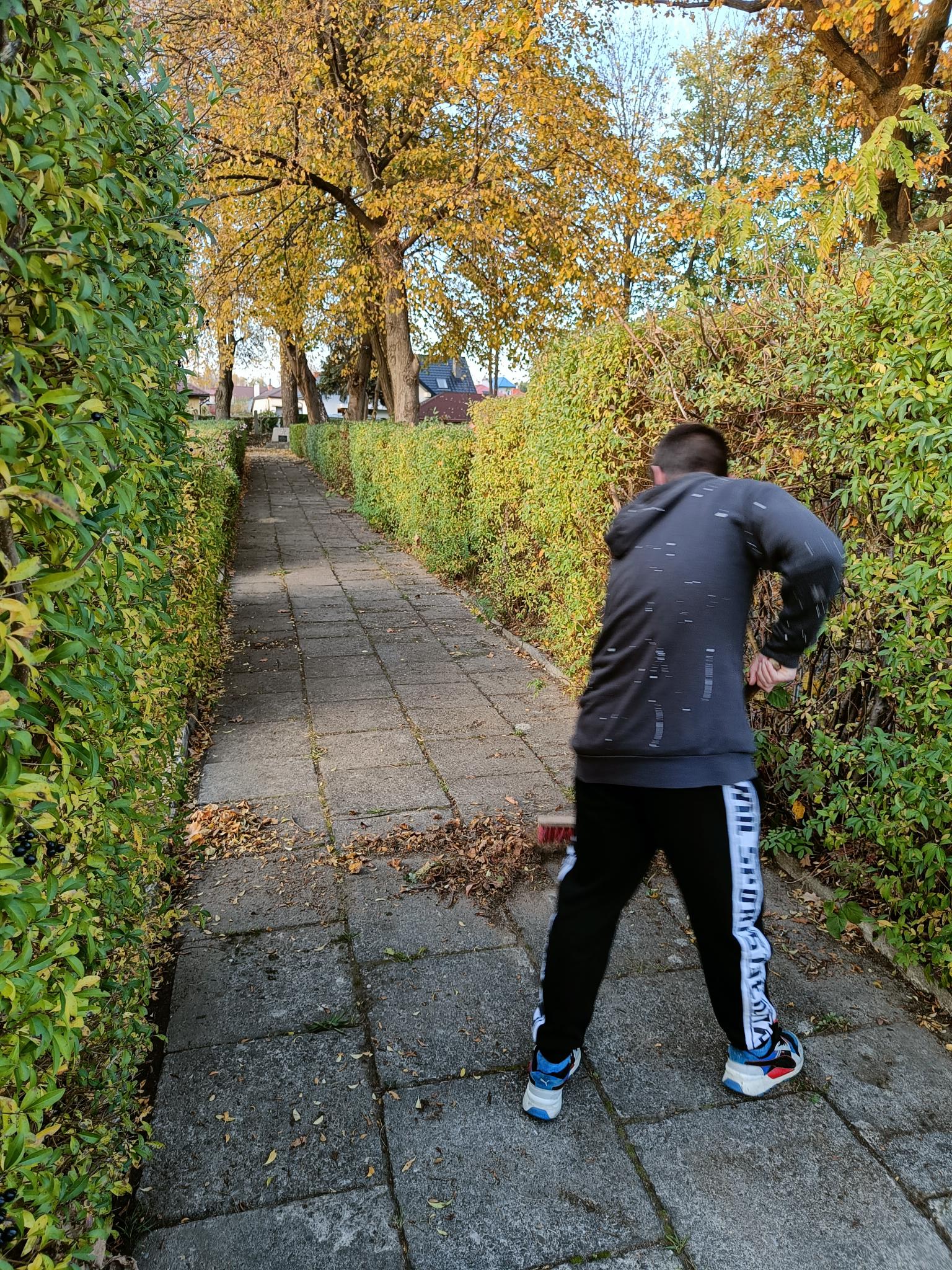 Pamiętamy... | Chłopiec w szarej bluzie i czarnych spodniach odwrócony tyłem zamiata liście na alejce. Po obu stronach wysoki zielony żywopłot, w tle jesienne, żółte drzewa..jpg