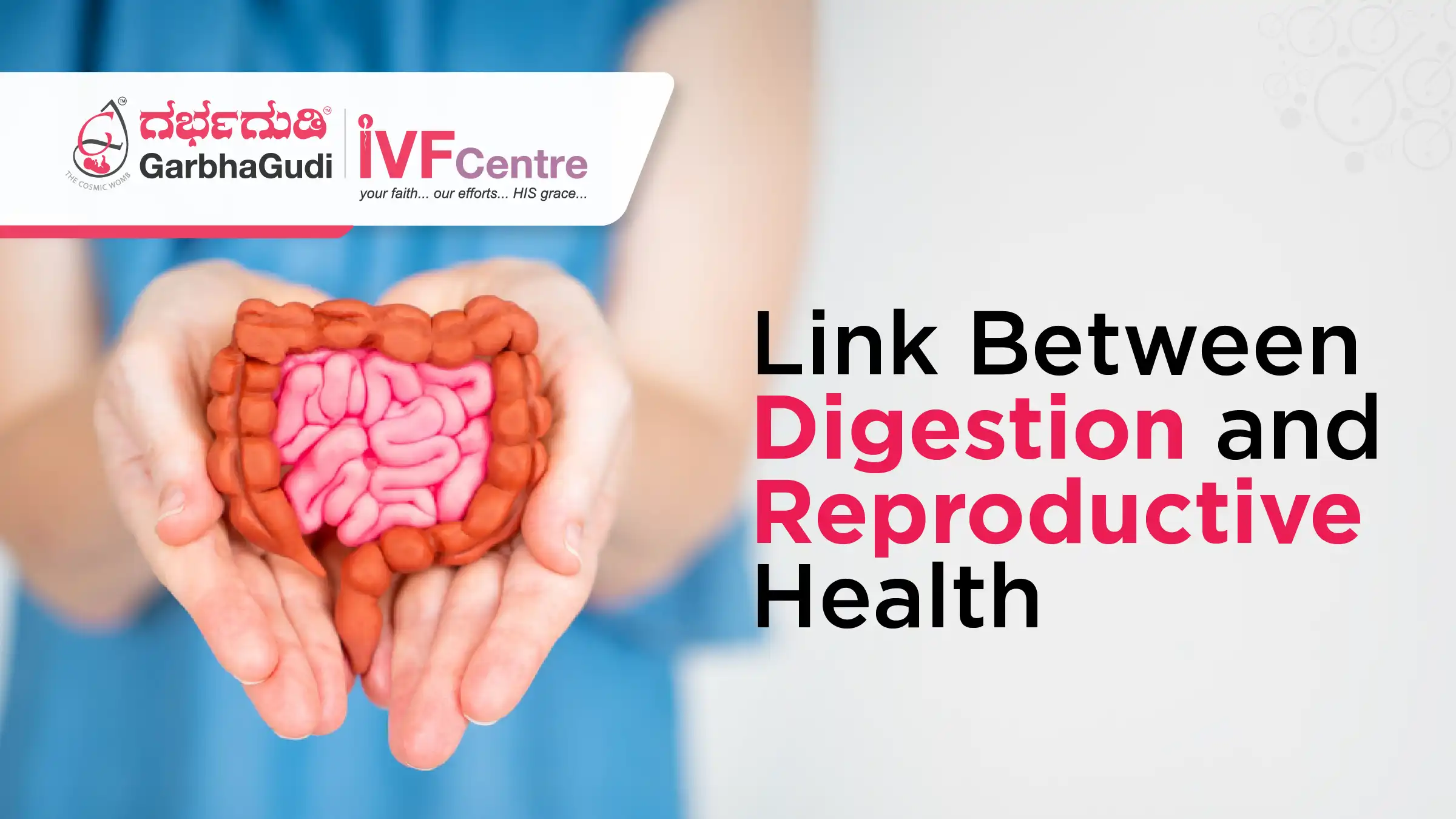 Gut Health and Fertility: How Digestion Influences Reproductive Success