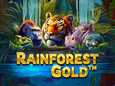 Rainforest Gold