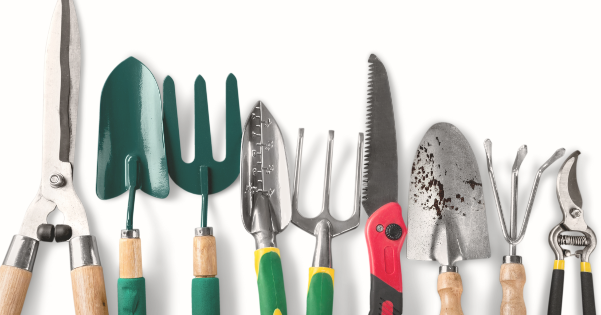 Choosing the Right Pruning Tools.png
