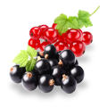 Picture - (max-width: 767px)