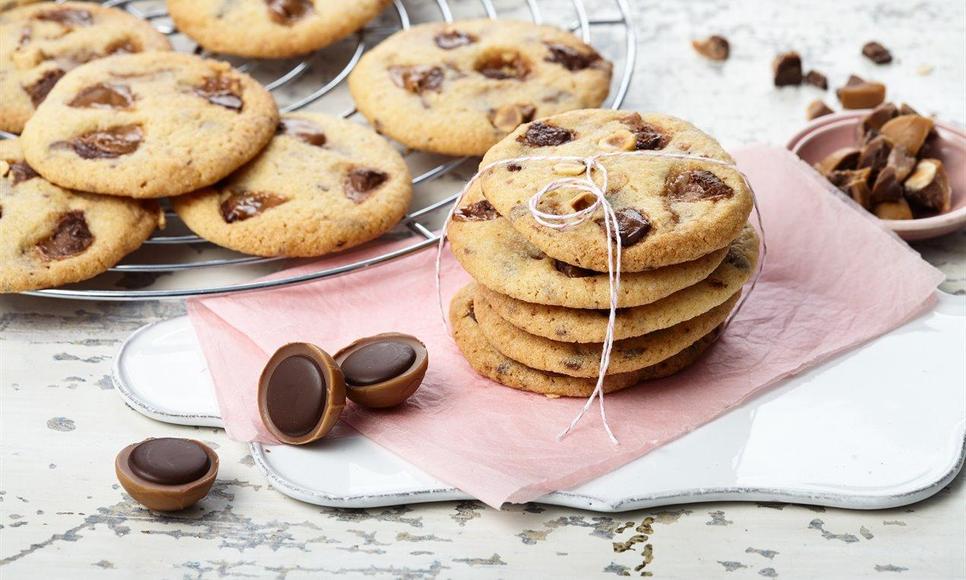 Alle Rezepte Dr. Oetker