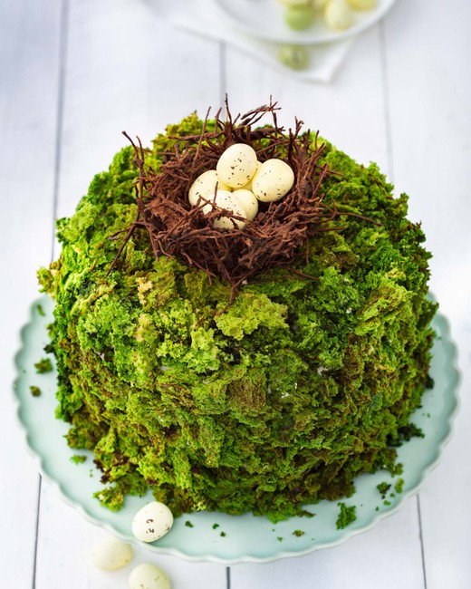 Picture - nest-nature-cake (2).jpg