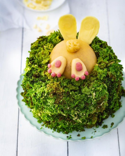 Picture - easter-moss-bunny-cake (1).jpg