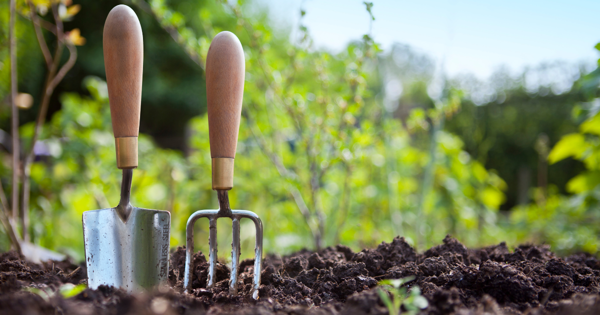 how to start gardening.png