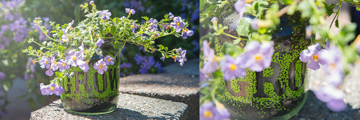 Quel matériau faut-il choisir pour ses bacs et pots à fleurs? : Greenastic