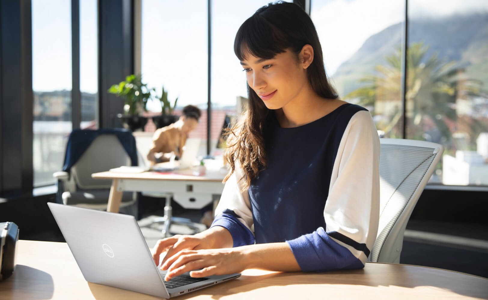 Business owner using Dell computer