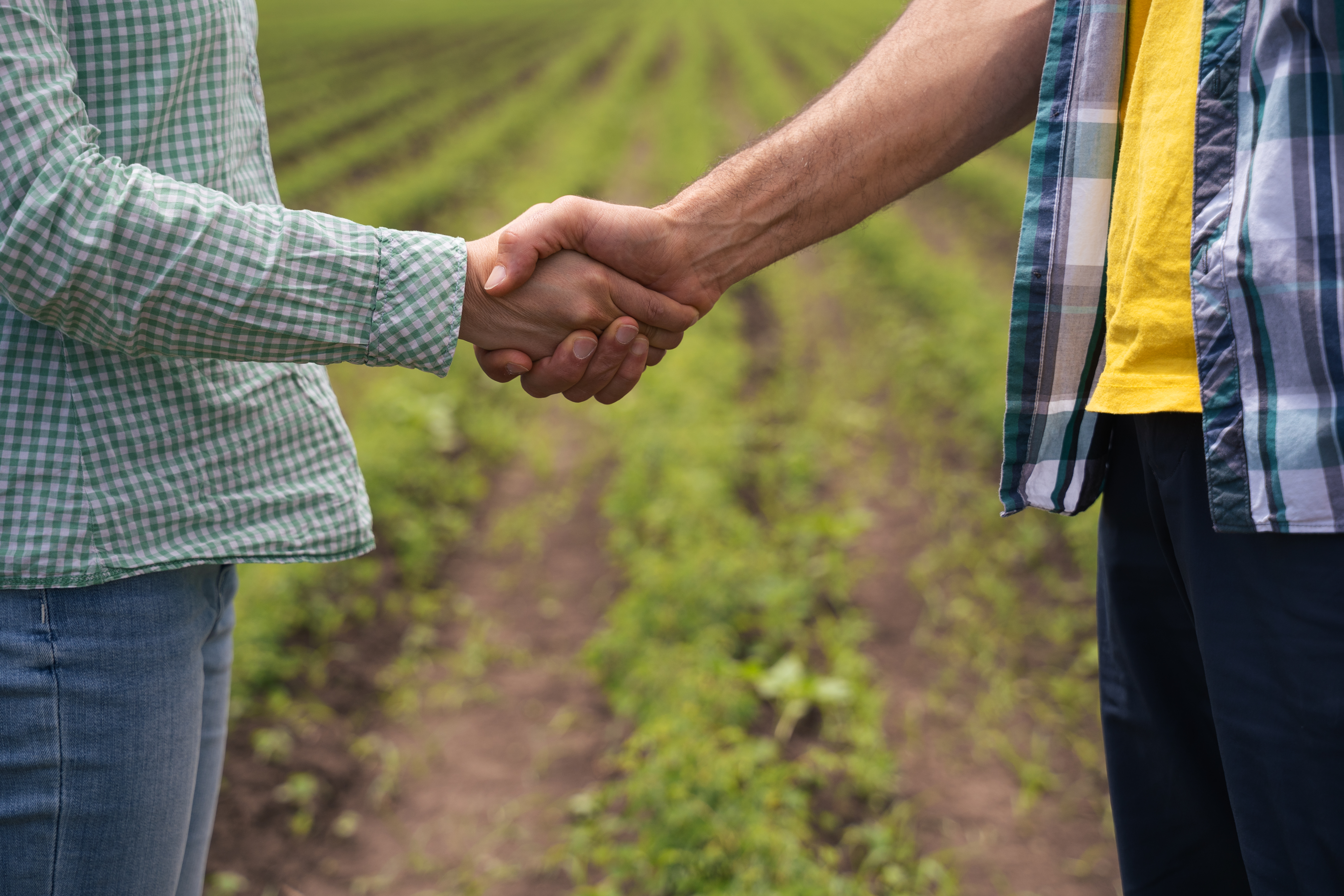 Two farmers shaking hands on an agricultural field