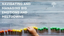 Navigating and Managing Big Emotions and Meltdowns 