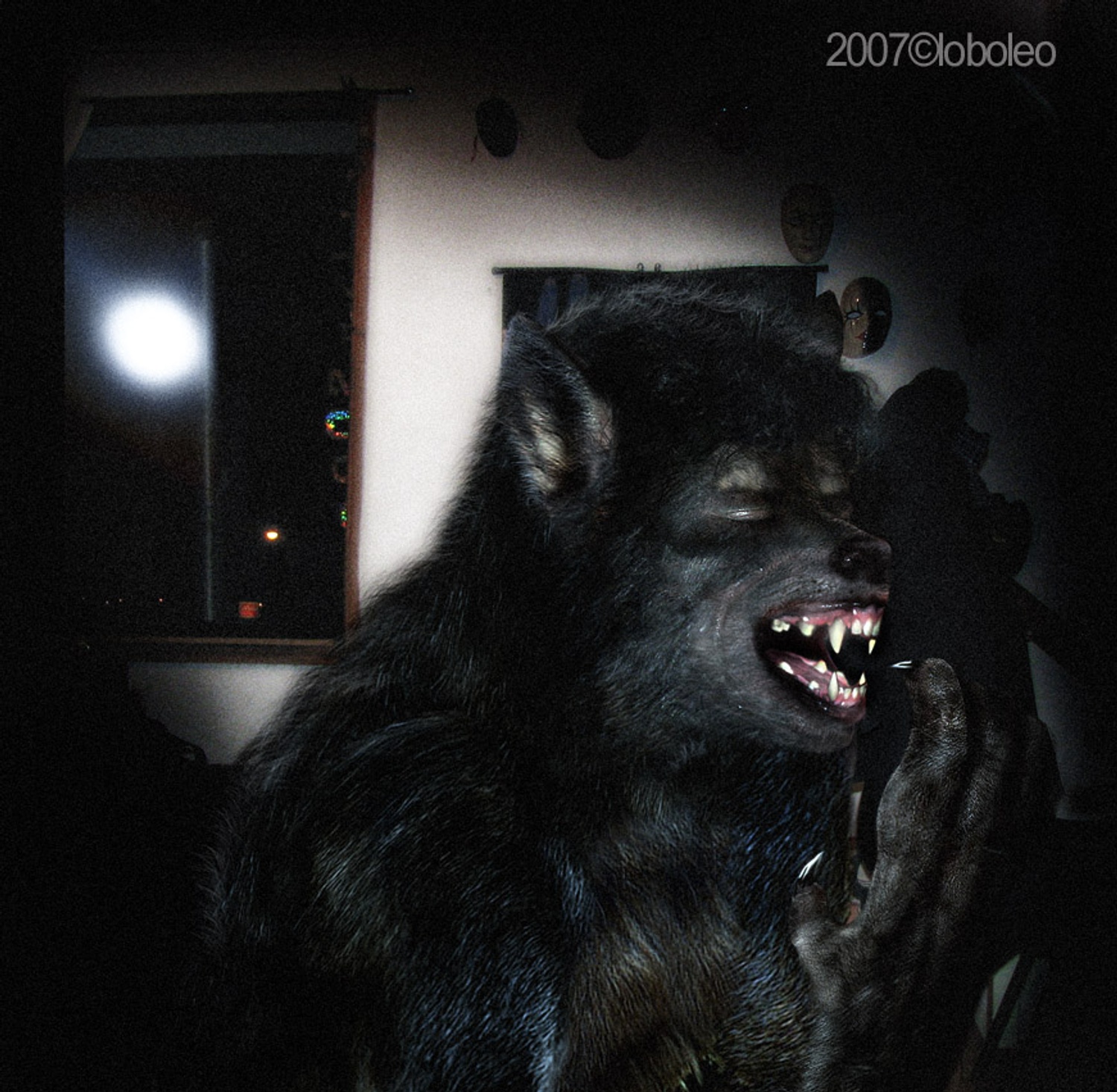 Photomorps Vol.3 (2009)-1