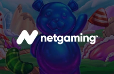 Netgaming