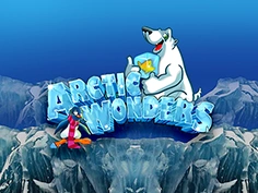 Arctic Wonders