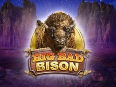 tournament-game-image