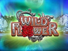 tournament-game-image