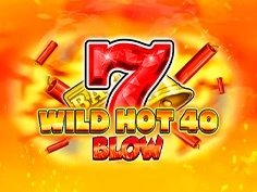 Wild Hot 40 Blow Booster