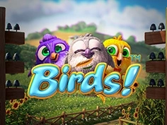 tournament-game-image