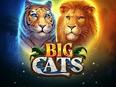 tournament-game-image