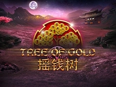 tournament-game-image