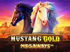 tournament-game-image