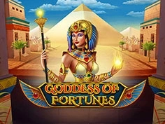 tournament-game-image