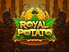 tournament-game-image