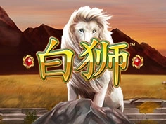 tournament-game-image
