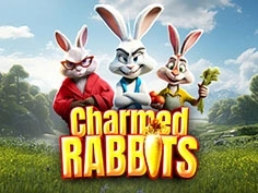 tournament-game-image