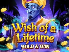 Wish Of A Lifetime Hold And Win