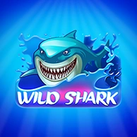 Wild Shark