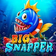 Big Snapper