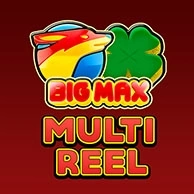 Big Max Multi Reel