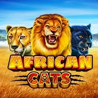 African Cats