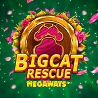 Big Cat Rescue Megaways