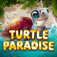 Turtle Paradise