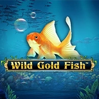 Wild Gold Fish