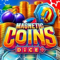 Magnetic Coins Dice