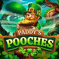 Paddys Pooches