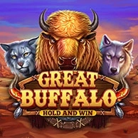 Great Buffalo Hold’n Win